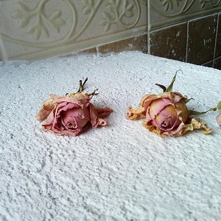 Posada Del Dulce Sueno Mojares Dış mekan fotoğraf