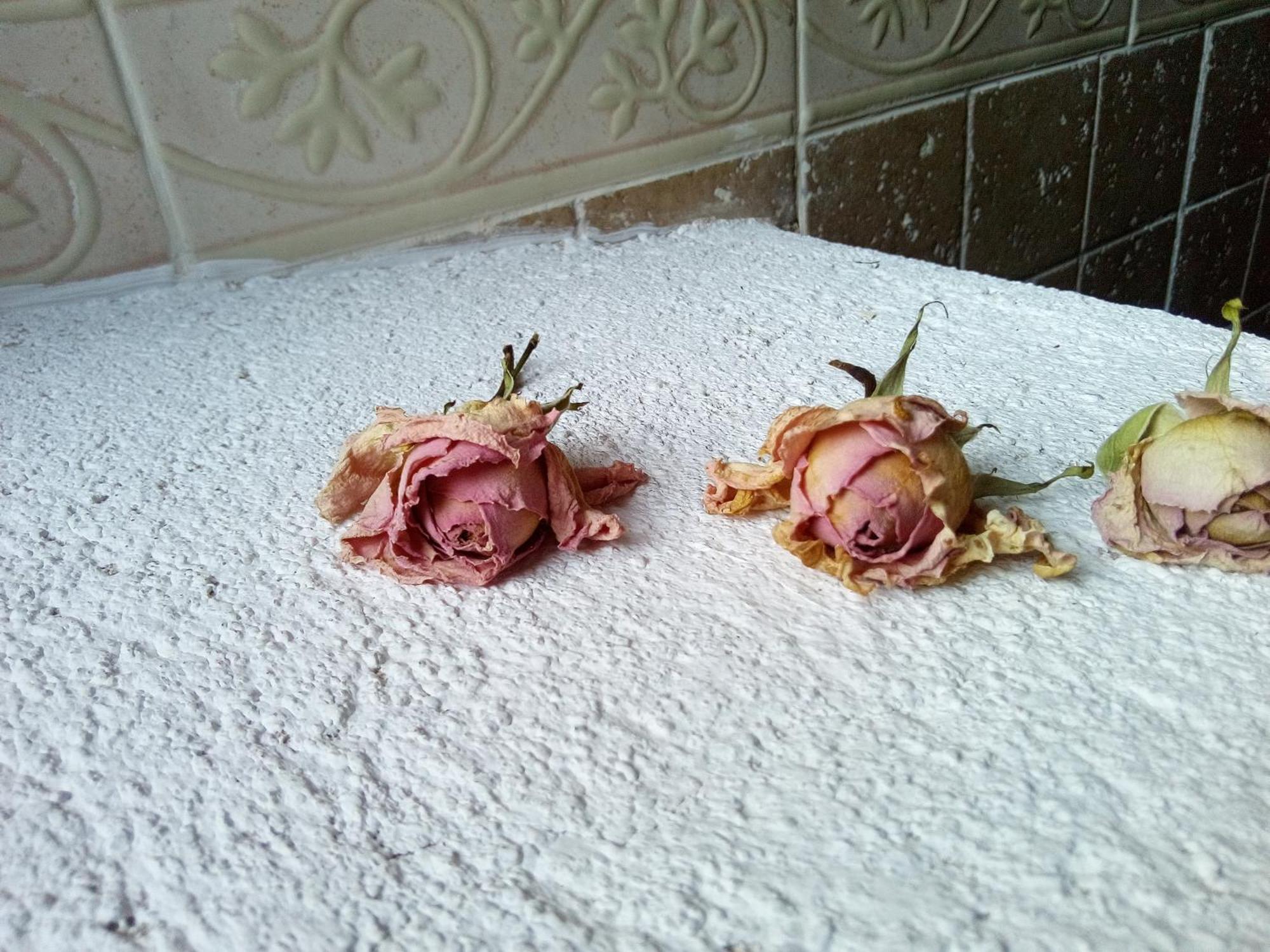 Posada Del Dulce Sueno Mojares Dış mekan fotoğraf