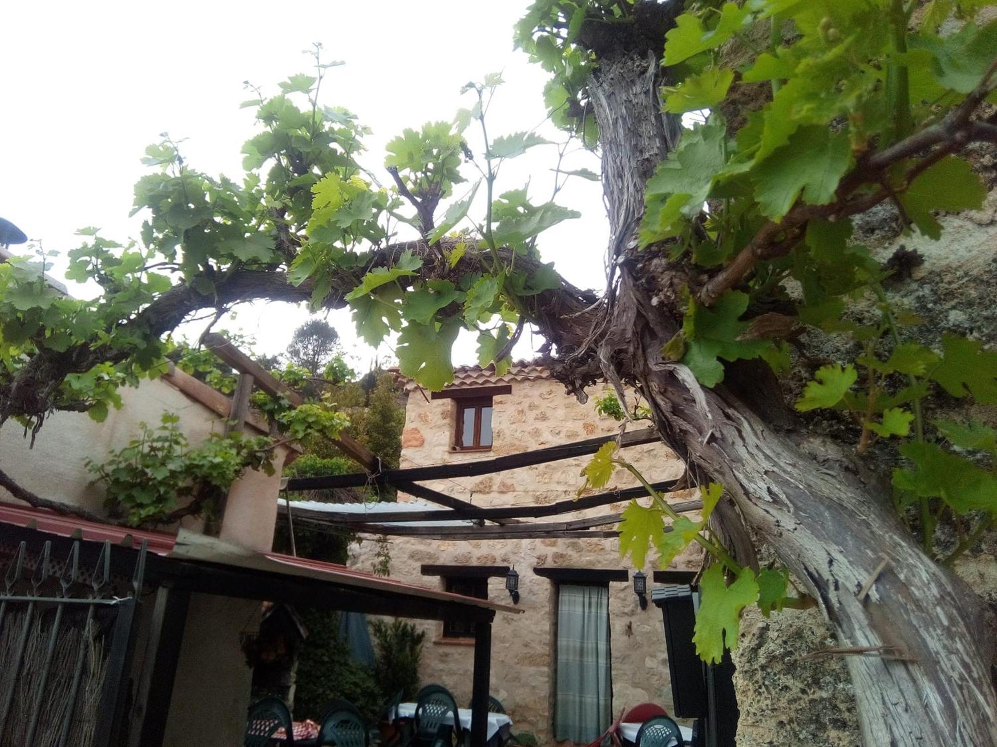 Posada Del Dulce Sueno Mojares Dış mekan fotoğraf